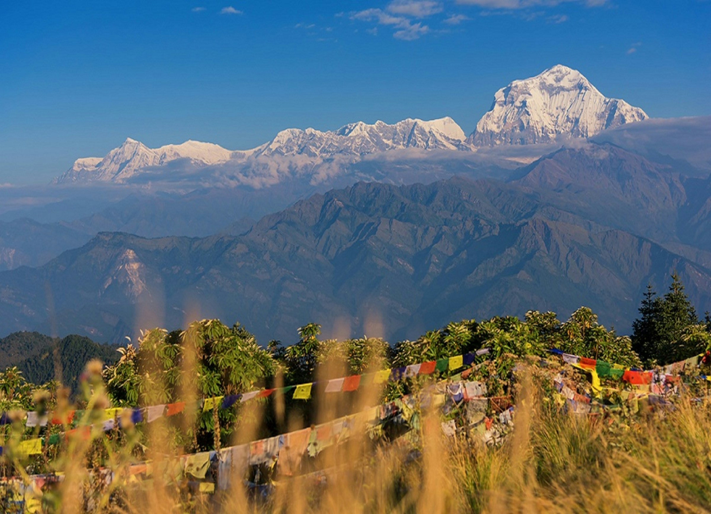 Ghorepani Poonhill Trek
